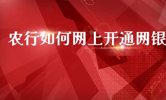 农行如何网上开通网银_https://m.apzhendong.com_期货行情_第1张