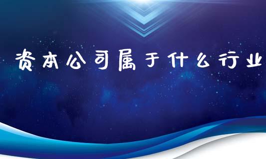 资本公司属于什么行业_https://m.apzhendong.com_财务分析_第1张