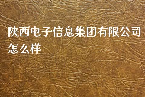 陕西电子信息集团有限公司怎么样_https://m.apzhendong.com_期货行情_第1张