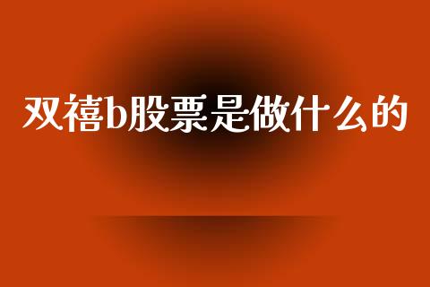 双禧b股票是做什么的_https://m.apzhendong.com_全球经济_第1张