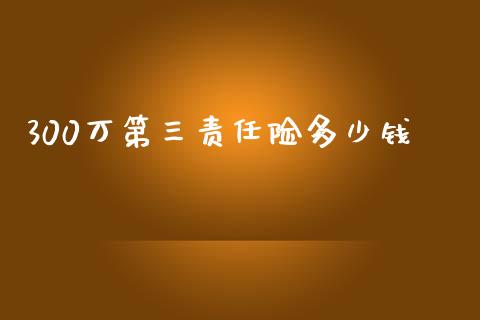 300万第三责任险多少钱_https://m.apzhendong.com_财务分析_第1张