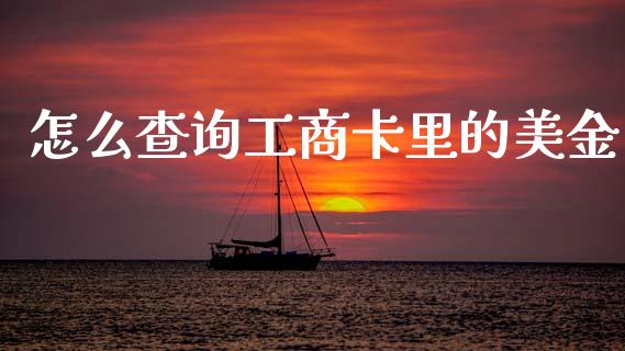 怎么查询工商卡里的美金_https://m.apzhendong.com_财务分析_第1张