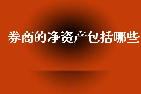 券商的净资产包括哪些_https://m.apzhendong.com_全球经济_第1张