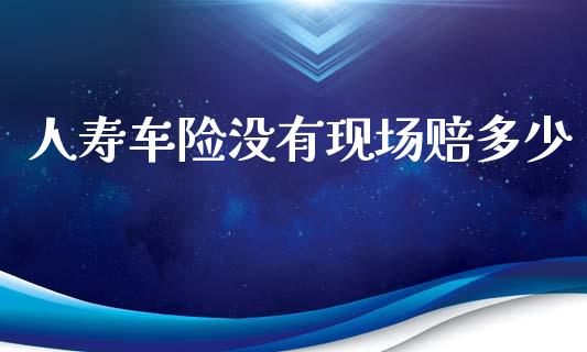 人寿车险没有现场赔多少_https://m.apzhendong.com_财务分析_第1张