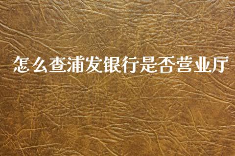 怎么查浦发银行是否营业厅_https://m.apzhendong.com_期货行情_第1张