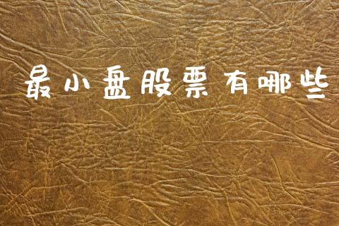 最小盘股票有哪些_https://m.apzhendong.com_财务分析_第1张