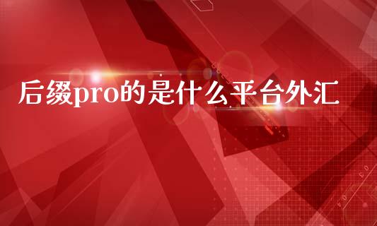 后缀pro的是什么平台外汇_https://m.apzhendong.com_财经资讯_第1张