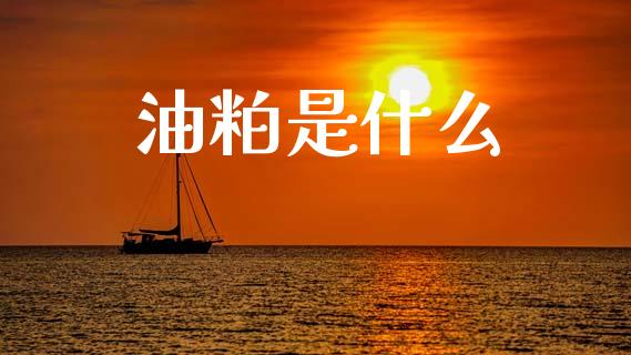 油粕是什么_https://m.apzhendong.com_财经资讯_第1张