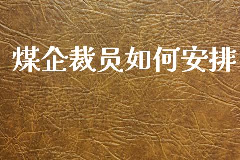 煤企裁员如何安排_https://m.apzhendong.com_财务分析_第1张