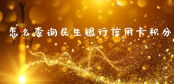 怎么查询民生银行信用卡积分_https://m.apzhendong.com_财务分析_第1张