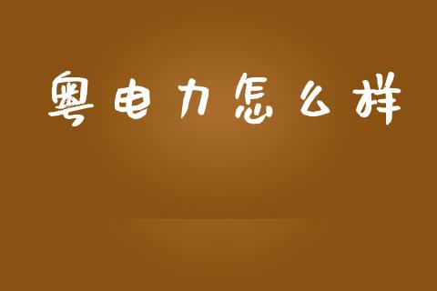 粤电力怎么样_https://m.apzhendong.com_全球经济_第1张