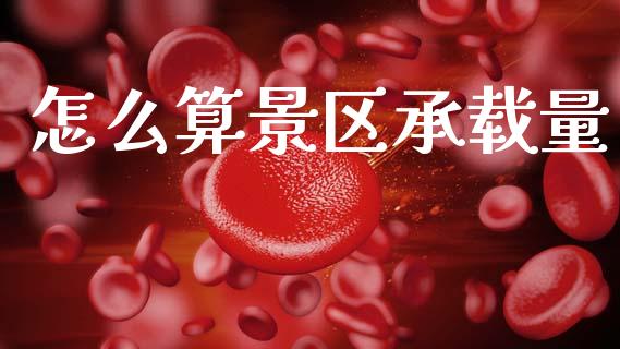 怎么算景区承载量_https://m.apzhendong.com_期货行情_第1张