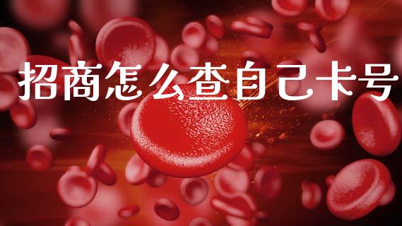 招商怎么查自己卡号_https://m.apzhendong.com_财务分析_第1张
