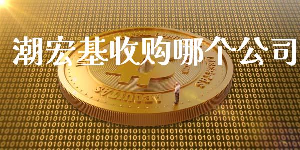 潮宏基收购哪个公司_https://m.apzhendong.com_财务分析_第1张