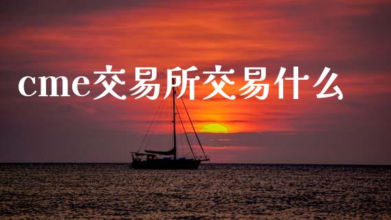 cme交易所交易什么_https://m.apzhendong.com_财务分析_第1张