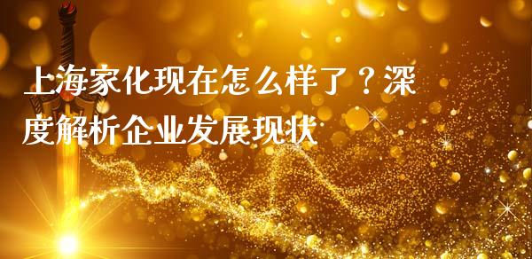 上海家化现在怎么样了？深度解析企业发展现状_https://m.apzhendong.com_全球经济_第1张