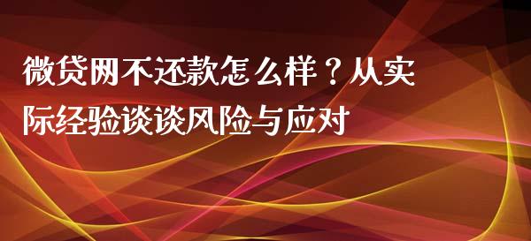 微贷网不还款怎么样？从实际经验谈谈风险与应对_https://m.apzhendong.com_财务分析_第1张