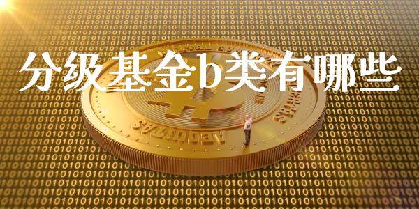 分级基金b类有哪些_https://m.apzhendong.com_财务分析_第1张