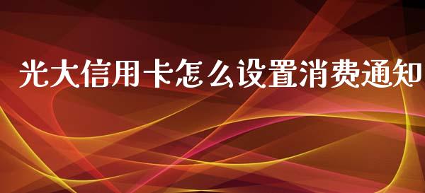 光大信用卡怎么设置消费通知_https://m.apzhendong.com_期货行情_第1张