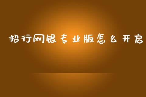 招行网银专业版怎么开启_https://m.apzhendong.com_全球经济_第1张