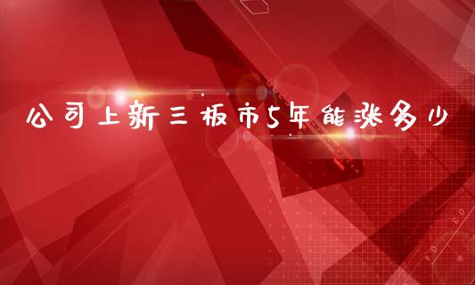 公司上新三板市5年能涨多少_https://m.apzhendong.com_财务分析_第1张