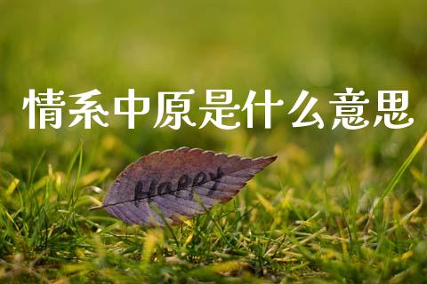 情系中原是什么意思_https://m.apzhendong.com_财务分析_第1张