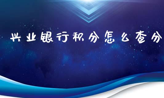 兴业银行积分怎么查分_https://m.apzhendong.com_全球经济_第1张