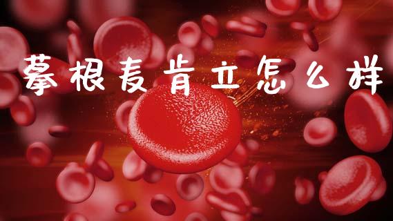 摹根麦肯立怎么样_https://m.apzhendong.com_全球经济_第1张
