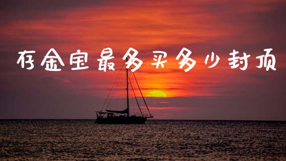 存金宝最多买多少封顶_https://m.apzhendong.com_财务分析_第1张