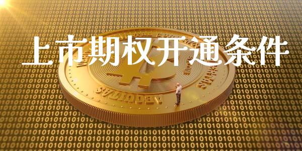 上市期权开通条件_https://m.apzhendong.com_财务分析_第1张