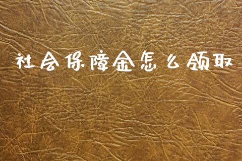 社会保障金怎么领取_https://m.apzhendong.com_财务分析_第1张