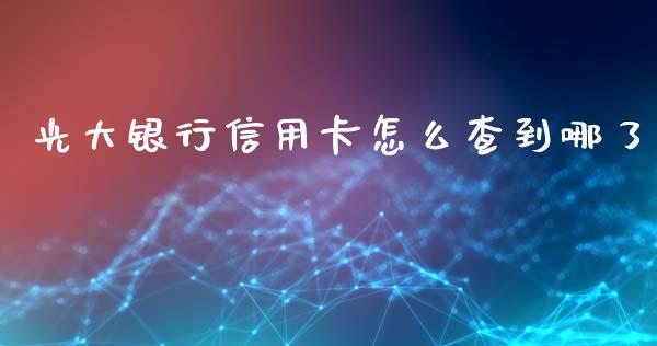 光大银行信用卡怎么查到哪了_https://m.apzhendong.com_财务分析_第1张