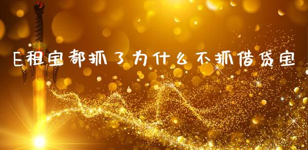 E租宝都抓了为什么不抓借贷宝_https://m.apzhendong.com_财务分析_第1张