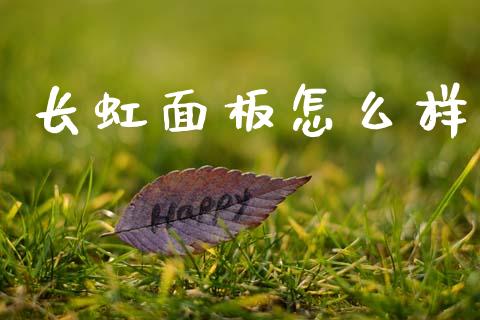 长虹面板怎么样_https://m.apzhendong.com_财经资讯_第1张