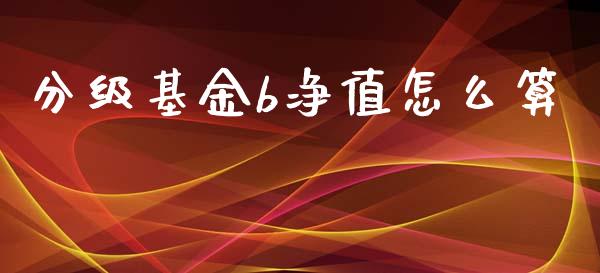 分级基金b净值怎么算_https://m.apzhendong.com_财经资讯_第1张