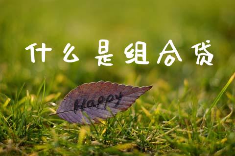 什么是组合贷_https://m.apzhendong.com_财务分析_第1张