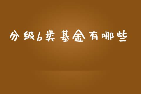 分级b类基金有哪些_https://m.apzhendong.com_财经资讯_第1张
