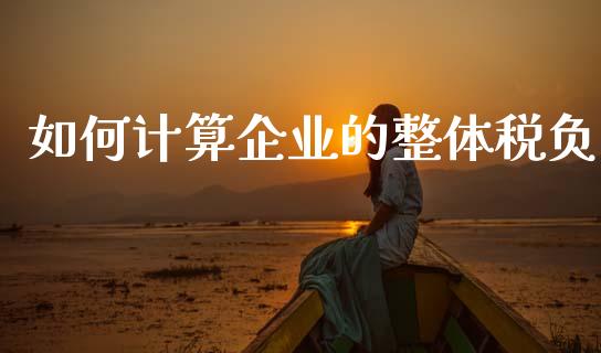 如何计算企业的整体税负_https://m.apzhendong.com_财经资讯_第1张