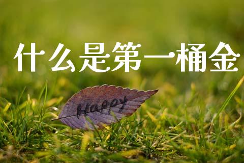 什么是第一桶金_https://m.apzhendong.com_财经资讯_第1张