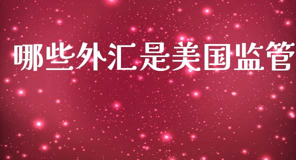哪些外汇是美国监管_https://m.apzhendong.com_全球经济_第1张