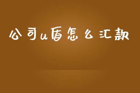 公司u盾怎么汇款_https://m.apzhendong.com_全球经济_第1张