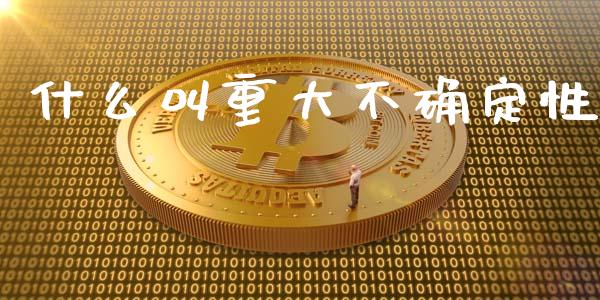 什么叫重大不确定性_https://m.apzhendong.com_财经资讯_第1张