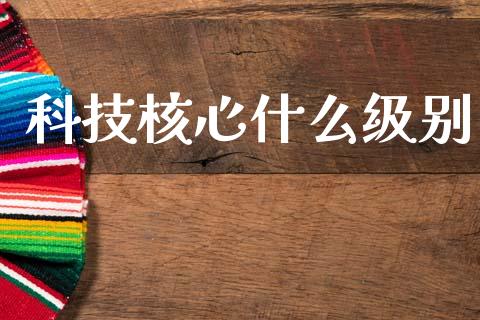 科技核心什么级别_https://m.apzhendong.com_财务分析_第1张