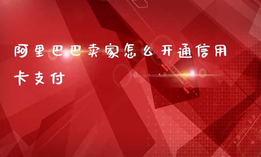 阿里巴巴卖家怎么开通信用卡支付_https://m.apzhendong.com_财务分析_第1张