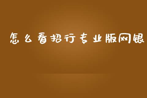 怎么看招行专业版网银_https://m.apzhendong.com_全球经济_第1张
