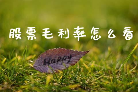 股票毛利率怎么看_https://m.apzhendong.com_全球经济_第1张