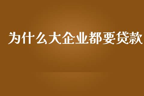 为什么大企业都要贷款_https://m.apzhendong.com_财经资讯_第1张