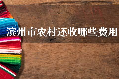 滨州市农村还收哪些费用_https://m.apzhendong.com_财经资讯_第1张
