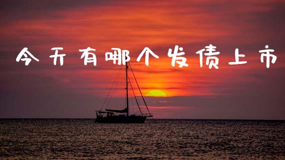 今天有哪个发债上市_https://m.apzhendong.com_期货行情_第1张