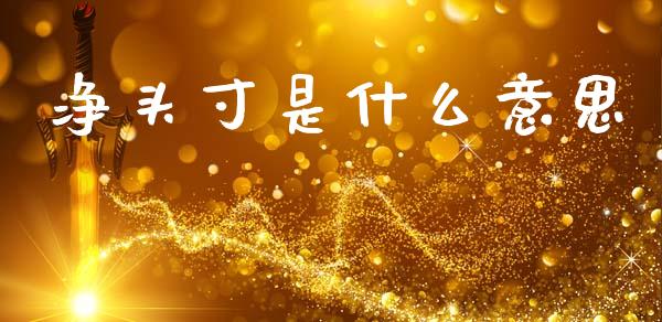 净头寸是什么意思_https://m.apzhendong.com_财务分析_第1张